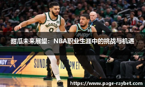 甜瓜未来展望：NBA职业生涯中的挑战与机遇