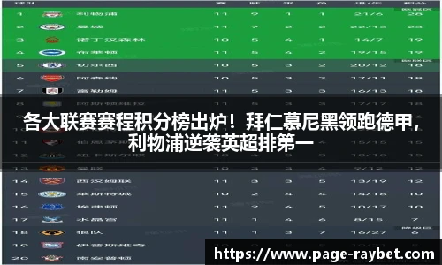 雷竞技ray官网